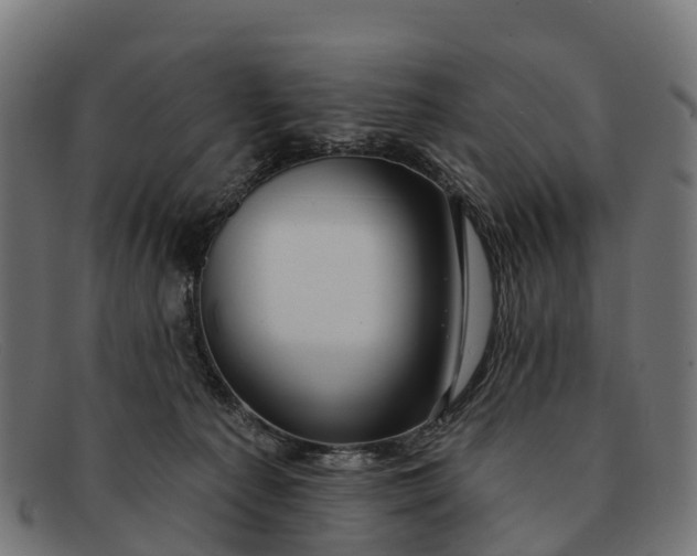 X0000091670225200709131534