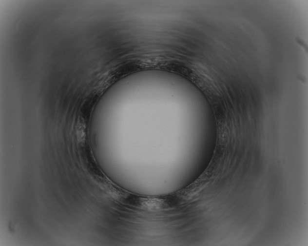 X0000091670226200709131534