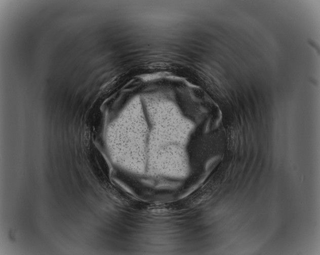 X0000091670228200709131534