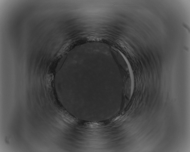 X0000091670229200709131534