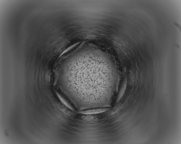 X0000091670230200709131534