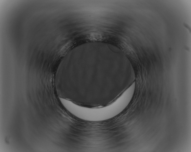 X0000091670233200709131534