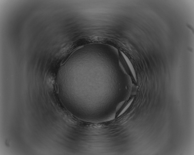 X0000091670235200709131534