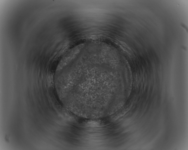 X0000091670236200709131534