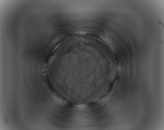 X0000091670237200709131534