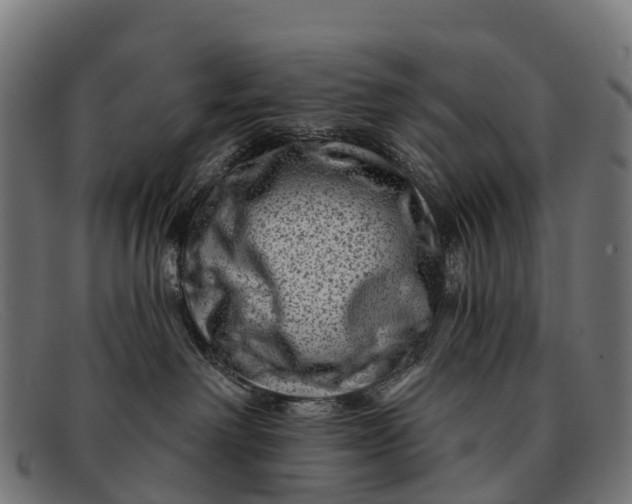 X0000091670238200709131534