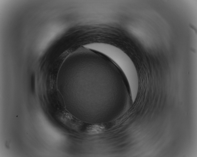 X0000091670239200709131534