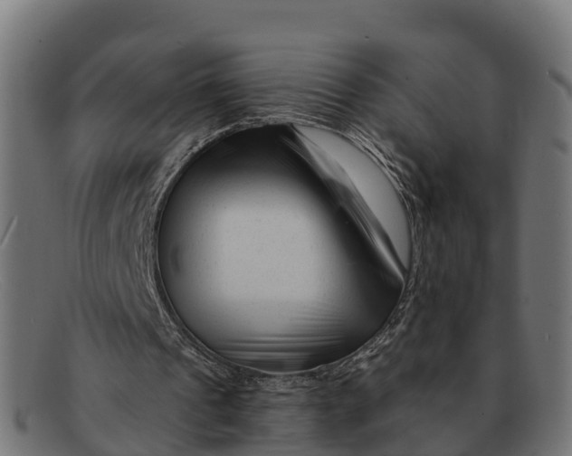 X0000091670241200709131533