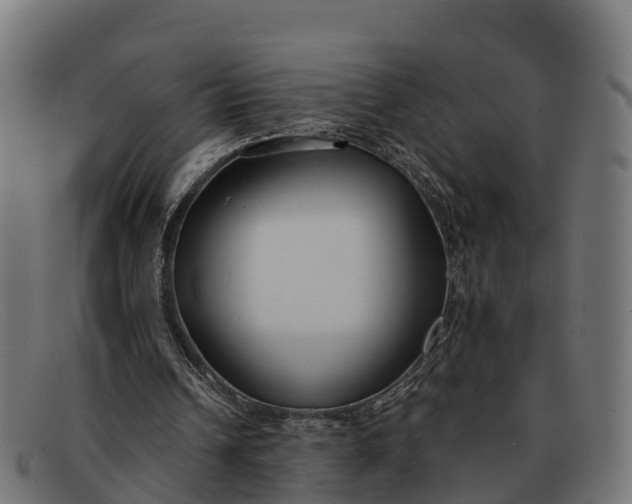 X0000091670242200709131533