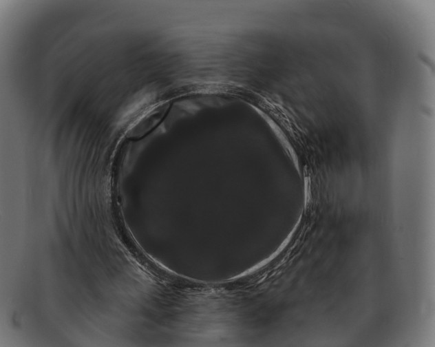 X0000091670243200709131533