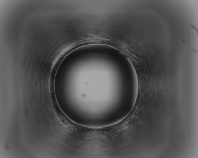 X0000091670244200709131534