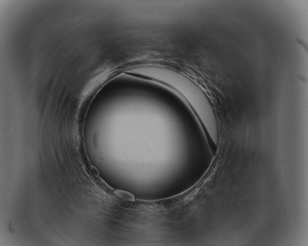 X0000091670245200709131534