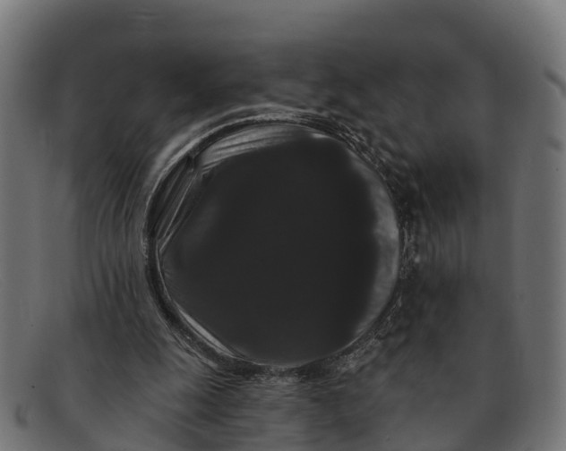 X0000091670247200709131534