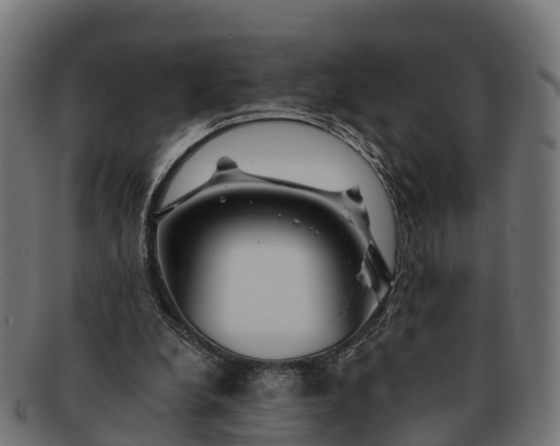 X0000091670248200709131534