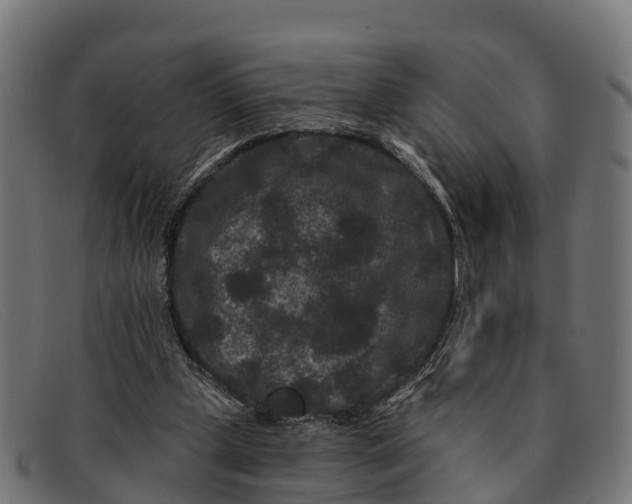 X0000091670249200709131534