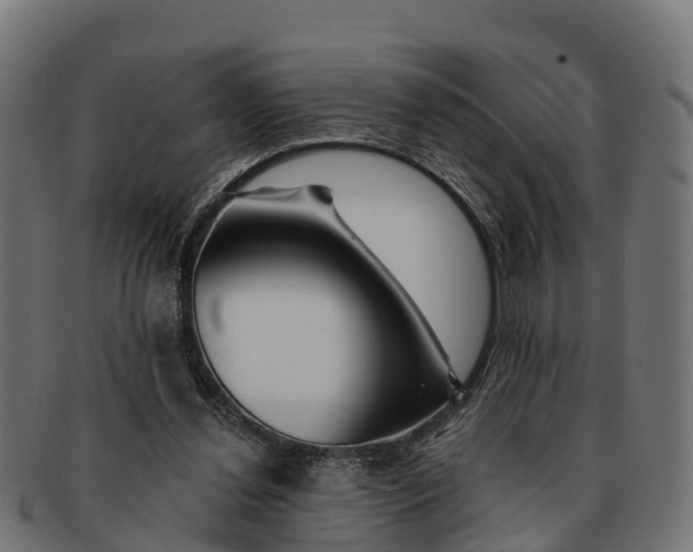 X0000091670252200709131534