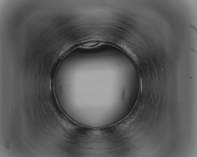 X0000091670253200709131534