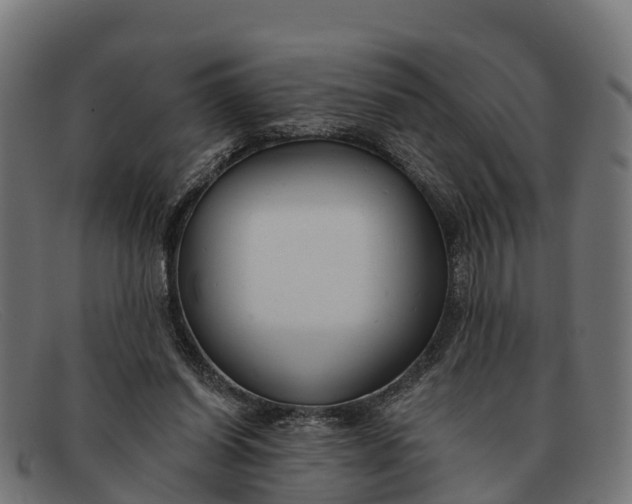 X0000091670254200709131534