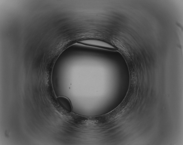 X0000091670255200709131534