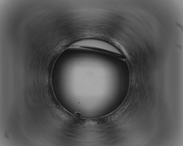 X0000091670257200709131534