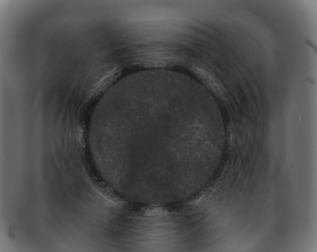 X0000091670258200709131534