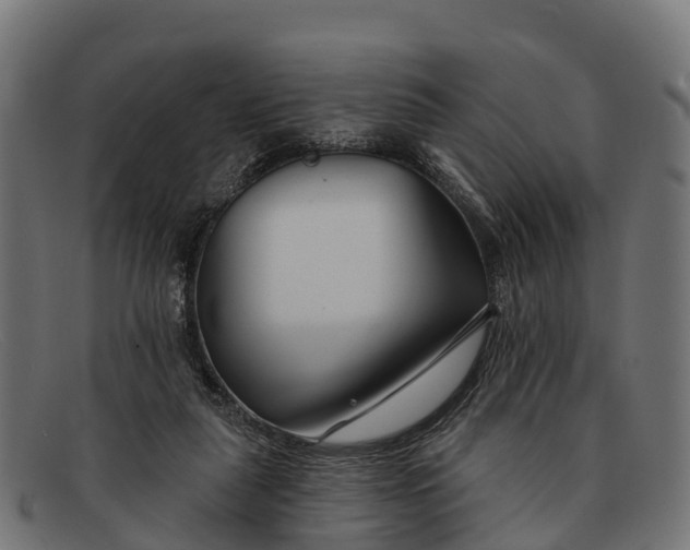 X0000091670259200709131534