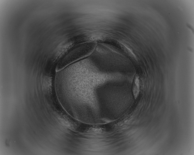 X0000091670260200709131534