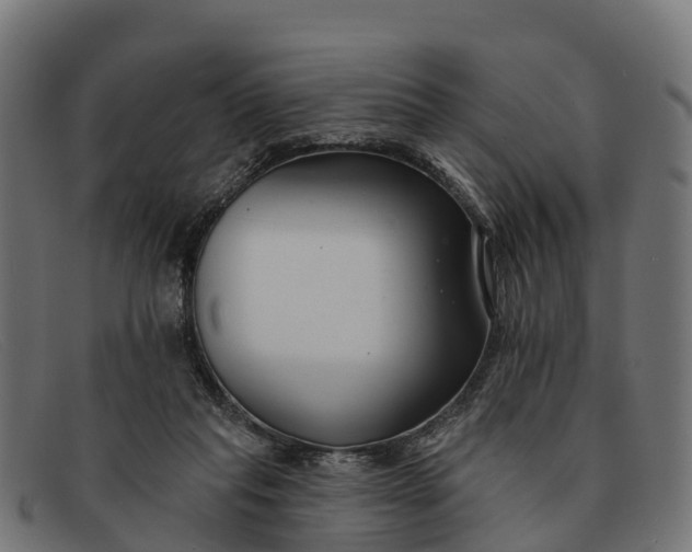 X0000091670261200709131534