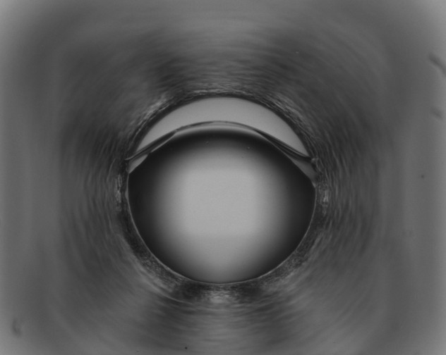 X0000091670264200709131534