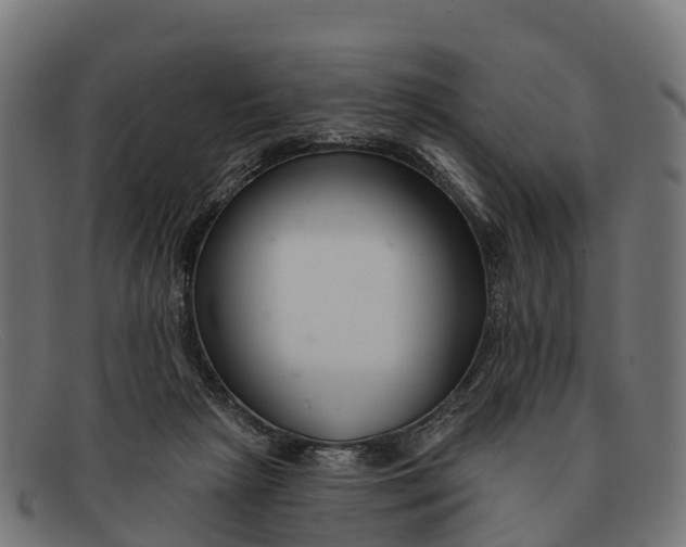 X0000091670265200709131534