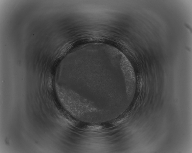 X0000091670266200709131534