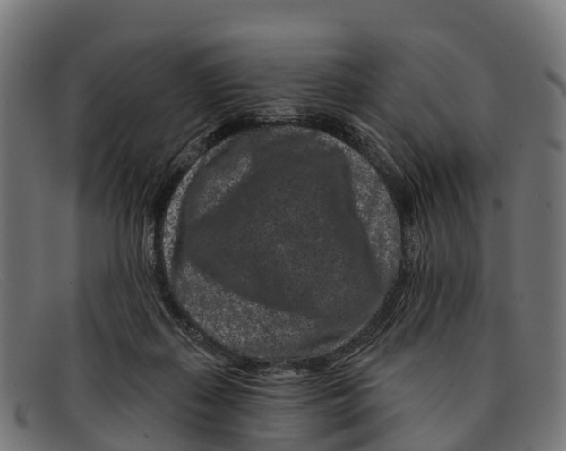 X0000091670267200709131534