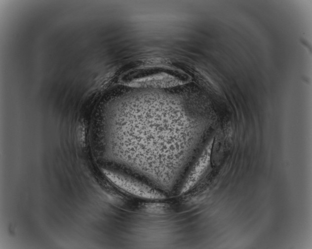 X0000091670268200709131534