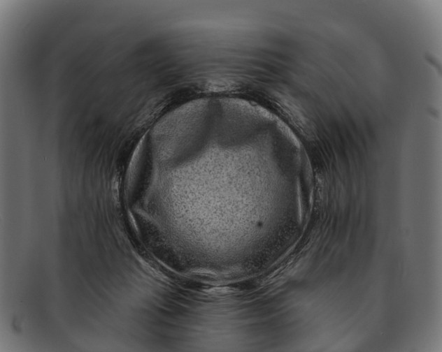 X0000091670269200709131534