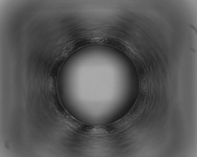 X0000091670270200709131534