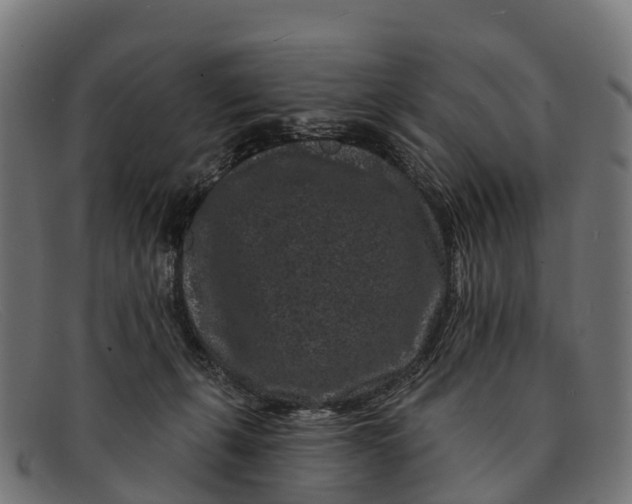 X0000091670271200709131534