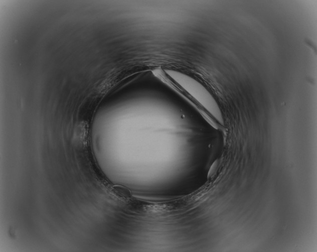 X0000091670273200709131534