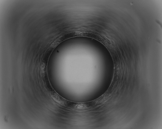 X0000091670275200709131534