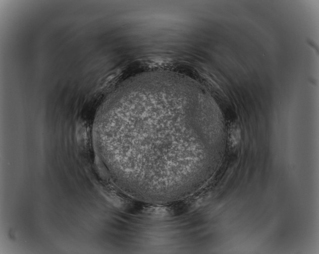 X0000091670276200709131534