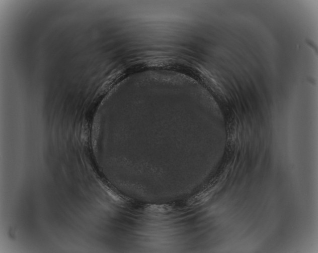 X0000091670277200709131534