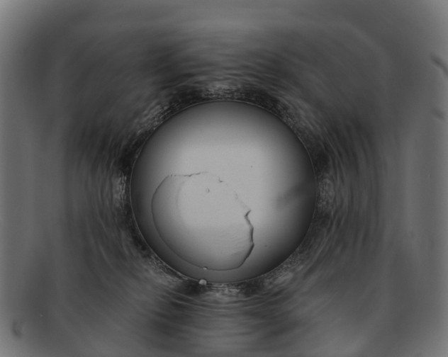 X0000091670278200709131534