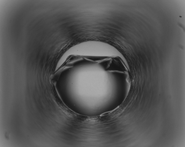 X0000091670280200709131534