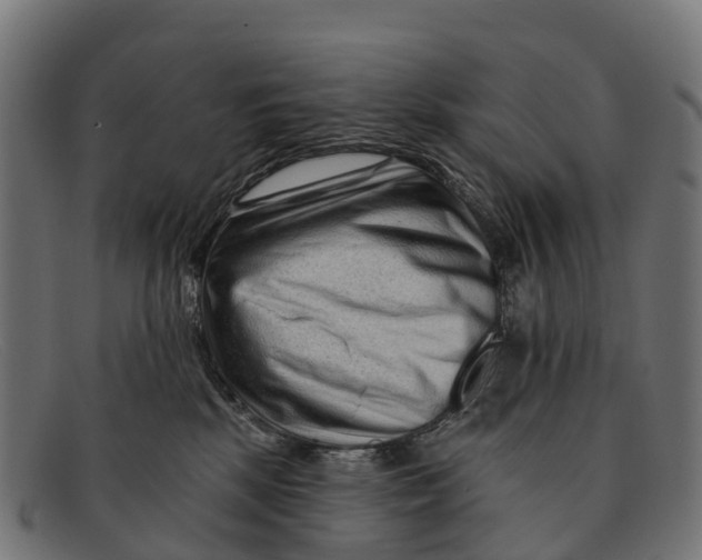 X0000091670281200709131534