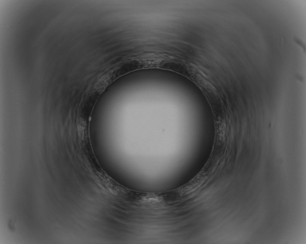 X0000091670283200709131534