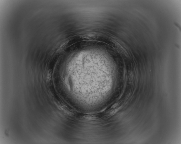 X0000091670284200709131534