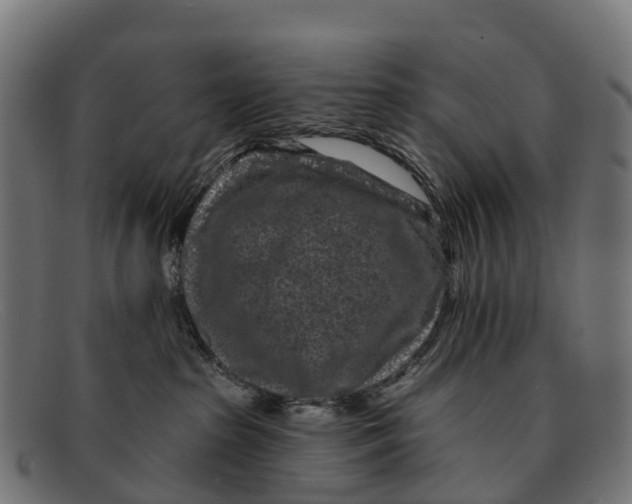 X0000091670285200709131534