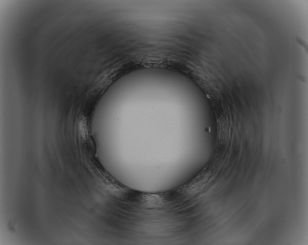 X0000091670287200709131534