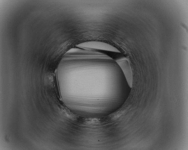 X0000091670288200709131534