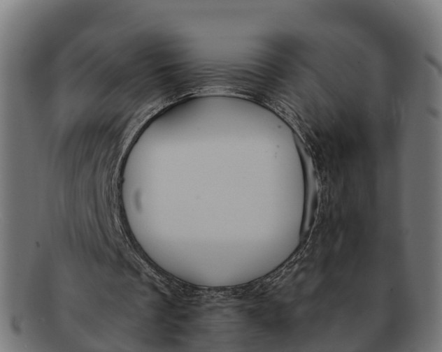 X0000091670289200709131533