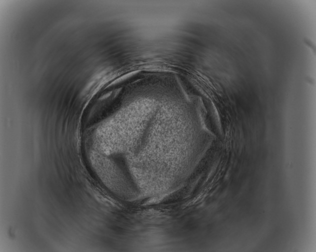 X0000091670290200709131533